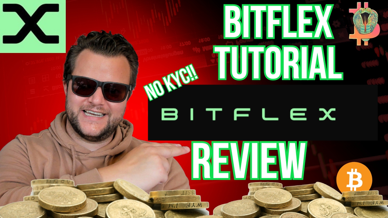 bitflex review